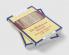 The Waldensian Dissent