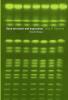 Gene Structure and Expression