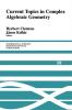Current Topics in Complex Algebraic Geometry