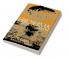 Hiroshima in History and Memory