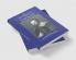 The Cambridge Companion to Galileo