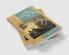 Violence in Early Modern Europe 1500 1800