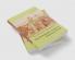The Cambridge Introduction to the Nineteenth-Century American Novel