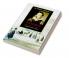 Camb Companion Pushkin
