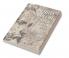 Achille Bocchi and the Emblem Book as Symbolic Form
