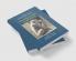 The Cambridge Companion to the Philosophy of Biology