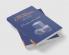 Physics and Probability