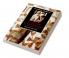The Cambridge Companion to F. Scott Fitzgerald