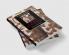 The Cambridge Companion to F. Scott Fitzgerald