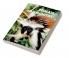 Primate Communities
