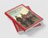 A Military History of Ireland