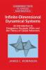 Infinite-Dimensional Dynamical Systems