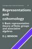 Representations and Cohomology