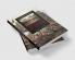 The Cambridge Companion to Writing of the English Revolution