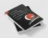 Science Technology and Society in Contemporary Japan