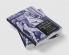 The Rise of Supernatural Fiction 1762 1800