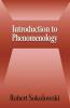 Introduction to Phenomenology