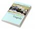 The Cambridge Introduction to Tragedy
