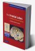 The Frontal Lobes