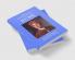 The Cambridge Companion to Hume