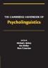 The Cambridge Handbook of Psycholinguistics