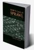 Don't Call It Sprawl