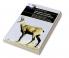 Population Genetics for Animal Conservation