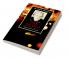 The Cambridge Companion to Don Delillo