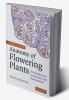 Anatomy of Flowering Plants