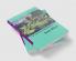 The Cambridge Introduction to Jean Rhys