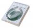 Diatoms