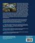 Cephalopod Behaviour