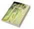 Fern Ecology