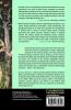 Reading Genesis