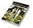 Reading Genesis