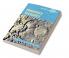 Planetary Tectonics