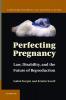 Perfecting Pregnancy