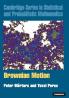 Brownian Motion