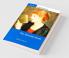 The Victorian Novel