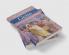 The Cambridge Companion to Giotto