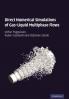 Direct Numerical Simulations of Gas-Liquid Multiphase             Flows