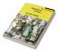 Population Hist United States 1ed