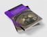 Companion to the New Testament 2ed