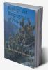 Ecology and Biogeography of Pinus