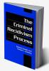 The Criminal Recidivism Process