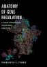 Anatomy of Gene Regulation