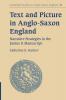Text and Picture in Anglo-Saxon England