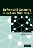 Defects and Geometry in Condensed Matter Physics