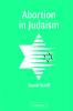Abortion in Judaism