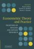 Econometric Theory and Practice
